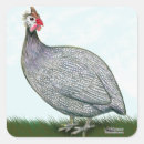 Search for poultry stickers Fowl