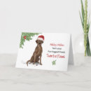 Search for labrador retriever christmas cards Santa