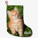 Search for orange cat christmas stockings Pet