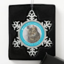 Search for kitten christmas tree decorations Keepsake