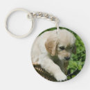 Search for stretching key rings Retriever golden
