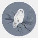 Search for white owl stickers Simple