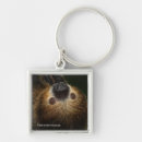 Search for sloth image key rings Smithsonian