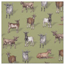 Search for goat fabric Kids