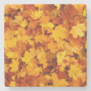 Search for maple leaf coasters Pattern