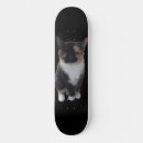 Search for ramps skateboards Deck