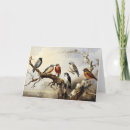 Search for winter bird cards Tree