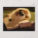 Search for academics postcards Degree