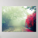 Search for misty posters Photography