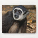 Search for monkey pic mousepads Animal