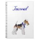 Search for fox terrier Pets