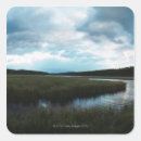 Search for wetland stickers Water