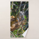 Search for orange brown photography Wildlife