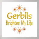 Search for gerbil posters Pets