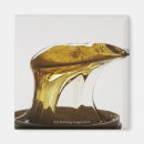 Search for wax magnets Still life