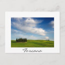Search for cypress Nature