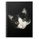 Search for tux kitty Feline