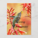 Search for hummingbird christmas cards Nature