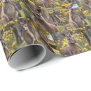 Search for kangaroo wrapping paper Wildlife
