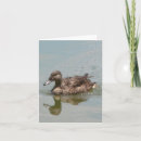 Search for female note cards Bird
