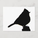 Search for titmouse postcards Bird