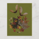 Search for maple postcards Autumn maple leaves
