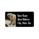 Search for global return address labels Climate change