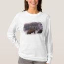 Search for wolf womens tshirts Usa