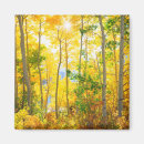 Search for fall trees magnets Yellow