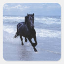 Search for miscellaneous labels Animal