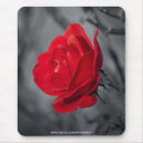 Search for romance mousepads Rose