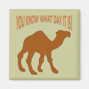 Search for hump day jokes Humour
