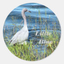 Search for wild bird stickers Nature