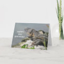 Search for happy lizard Animals