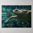 Search for logger posters Nature