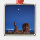 Search for moonlight christmas tree decorations Outdoors