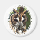 Search for owl magnets Cute