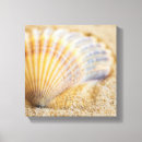 Search for pictures of shells art Shore
