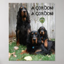 Search for setter posters Animal