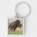 Search for bull key rings Usa