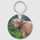 Search for calfs key rings Heifer
