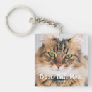 Search for kitty accessories Trendy