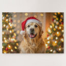 Search for yellow lab puzzles Labrador retriever
