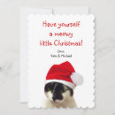 Search for santa face cards Cat