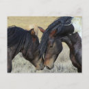 Search for wild horses postcards Brown horse