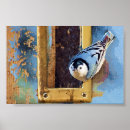 Search for birds of a feather posters Wings