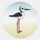 Search for pied stickers Bird