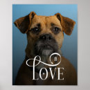 Search for doggy art For pets