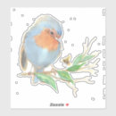 Search for english robin stickers Bird