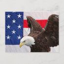 Search for bald eagle and american flag postcards Freedom
